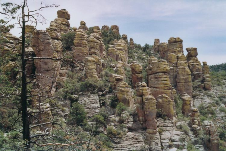 Chiricahua NM